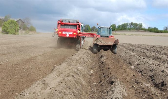 Steinfjerning Per Steinsholt