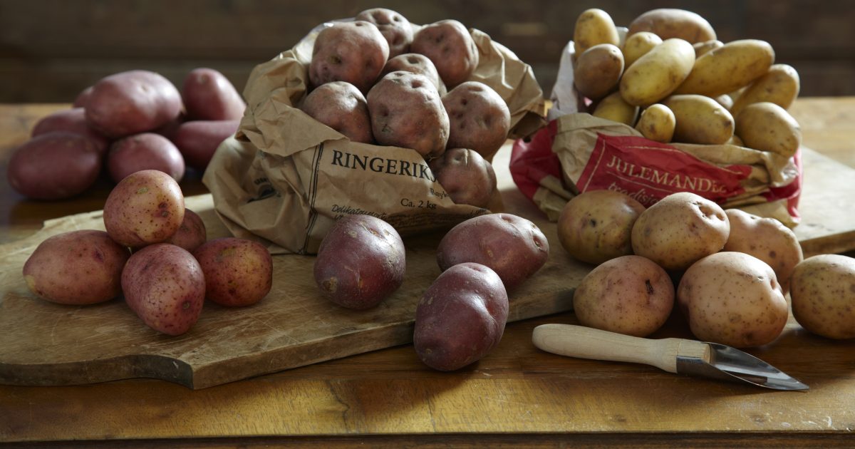 Potet og helse Fagforum Potet