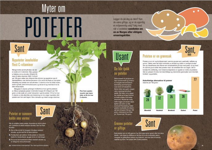 Myter om poteter Iform side 1