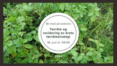 Webinar torrate