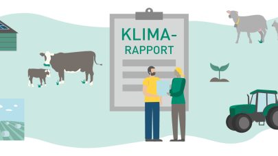 Klimakampanje herobilde