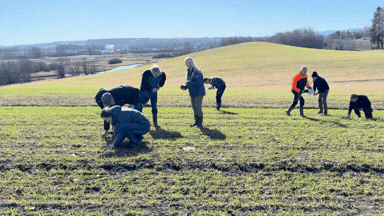 Hostkornmarkvandring