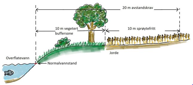 Bilde av illustrasjon av vegetert buffersone og sproytefri sone ved avstandskrav 20 m og 10 m buffersone