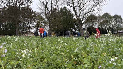 Reisebrev jordhelsetur Danmark 2025 Maren Holte 2