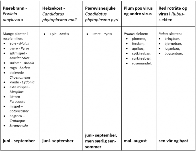 Tabell 4 B kontroll i planteskole